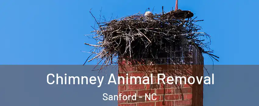 Chimney Animal Removal Sanford - NC