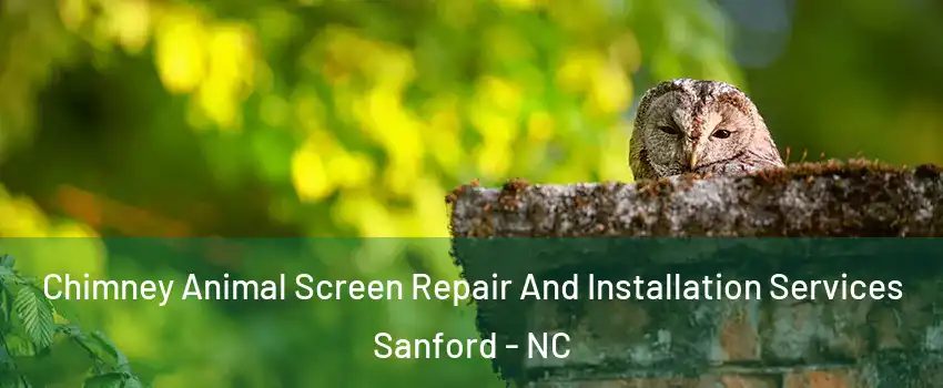  Chimney Animal Screen Repair And Installation Services Sanford - NC