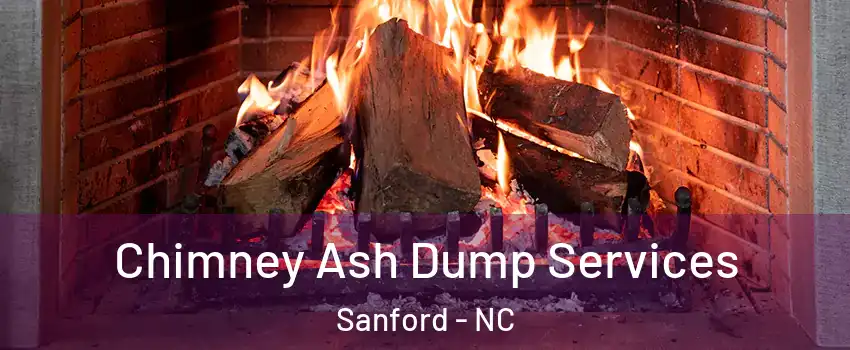  Chimney Ash Dump Services Sanford - NC