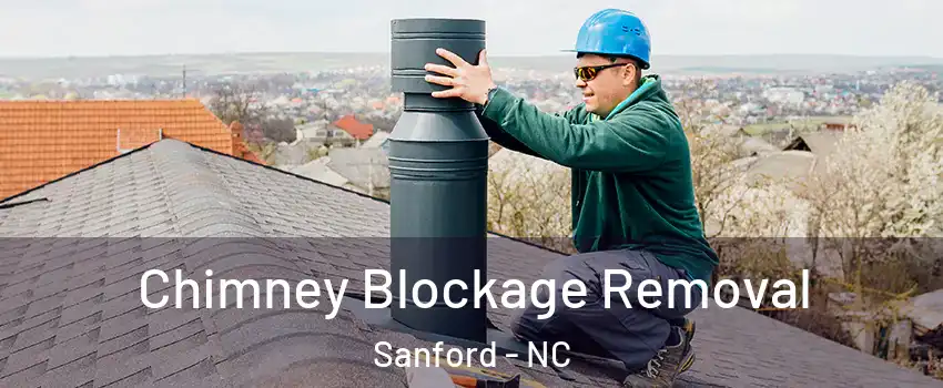  Chimney Blockage Removal Sanford - NC