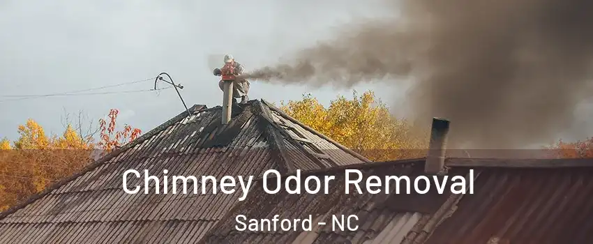  Chimney Odor Removal Sanford - NC