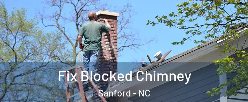  Fix Blocked Chimney Sanford - NC
