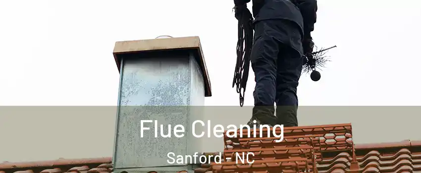  Flue Cleaning Sanford - NC