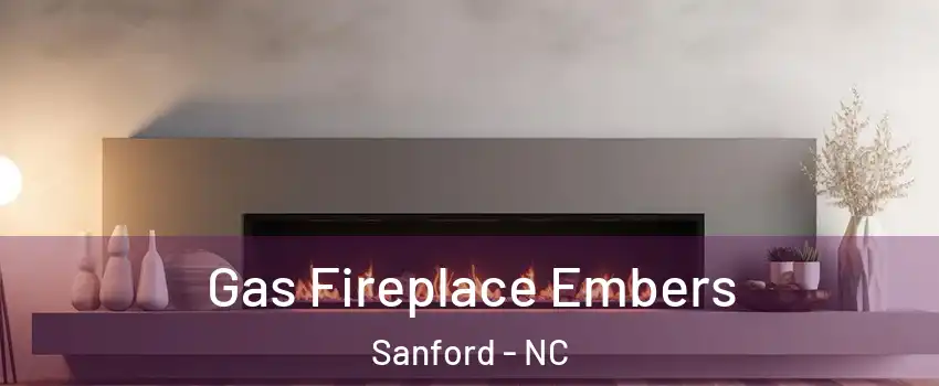  Gas Fireplace Embers Sanford - NC