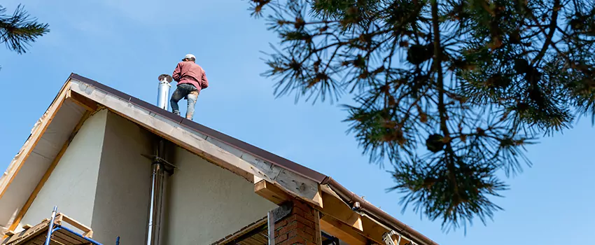 Birds Removal Contractors from Chimney in Sanford, NC