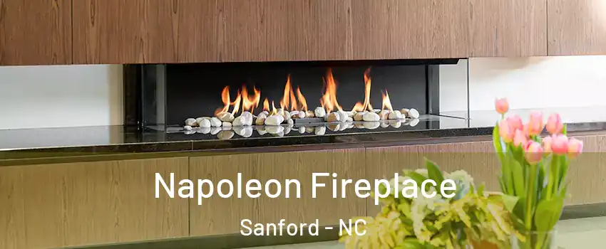  Napoleon Fireplace Sanford - NC